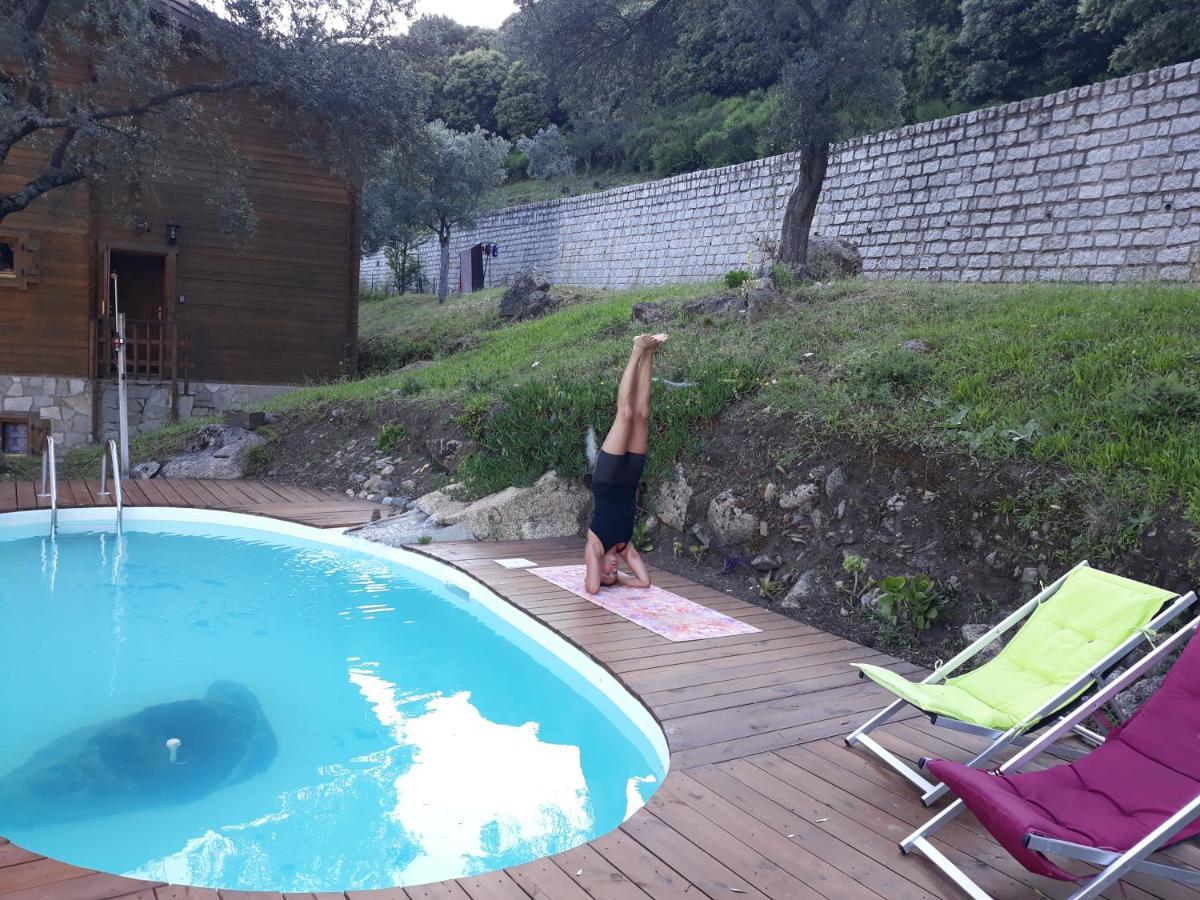 Oliveraie D'Olmiccia Bagian luar foto